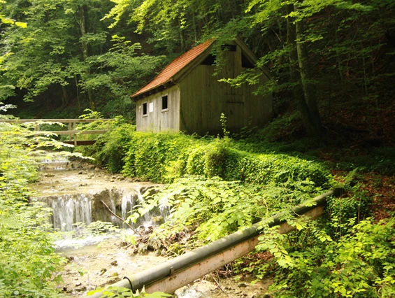Ausflugsziel: Museum Salz und Moor im Klaushäusl