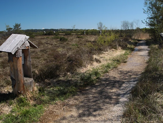 Ausflugsziel: Nicht weit entfernt vom Museum Salz und Moor führt der Moorerlebnisweg mit Stationen für Kinder und Familien ins Naturschutzgebiet Kendlmühlfilzen.  - Museum Salz und Moor im Klaushäusl