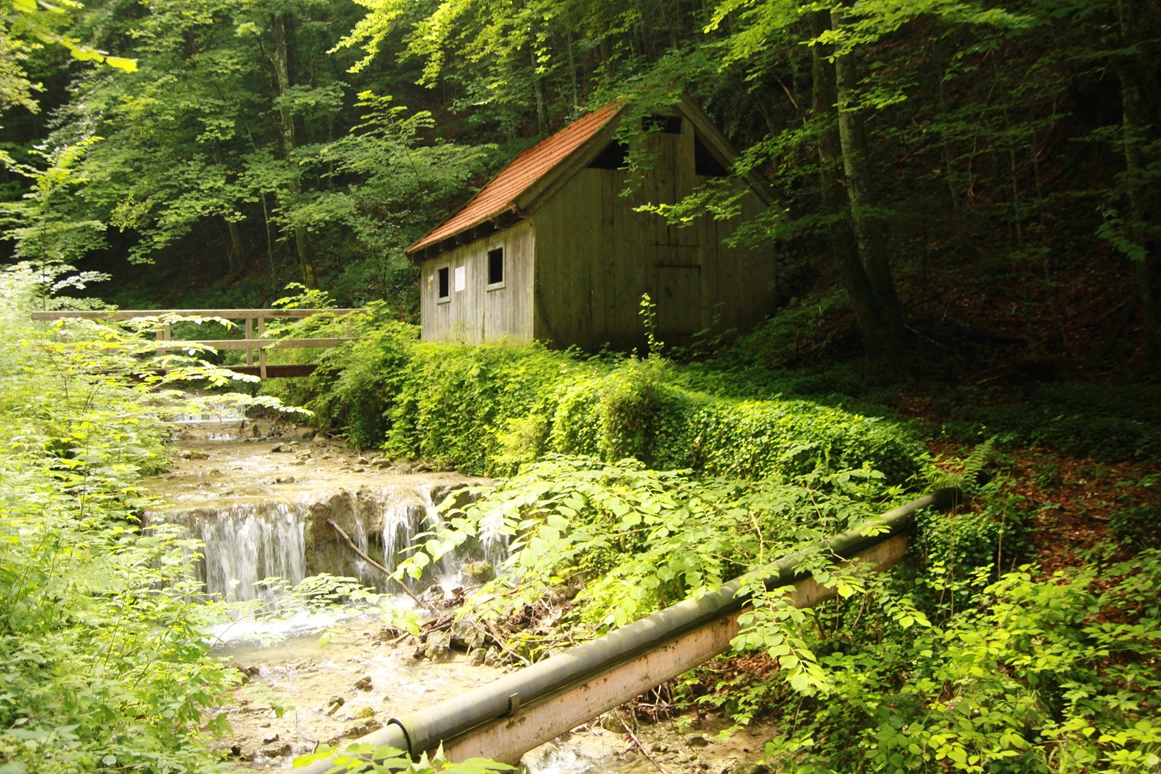 Ausflugsziel: Beim Museum startet ein halbstündiger Wanderweg durch den Wald zum Grießenbach und dem Rottauer Wasserfall. - Museum Salz und Moor im Klaushäusl