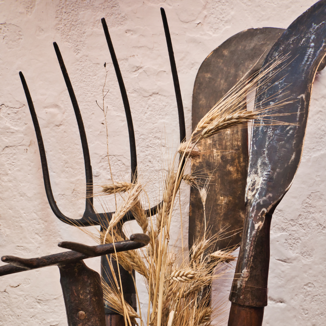 Reis met kinderen - Witterung: Bewölkt - Stammham (Eichstätt) - Riedenburger Bauernhofmuseum