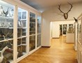 Ausflugsziel: © Museen der Stadt Aschaffenburg, Foto: Ines Otschik - Naturwissenschaftliches Museum