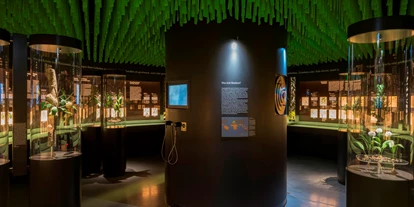 Viaggio con bambini - Steinwiesen - Deutsches Gewürzmuseum
