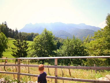 Ausflugsziel: Wanderung zur Wolfschwangalm