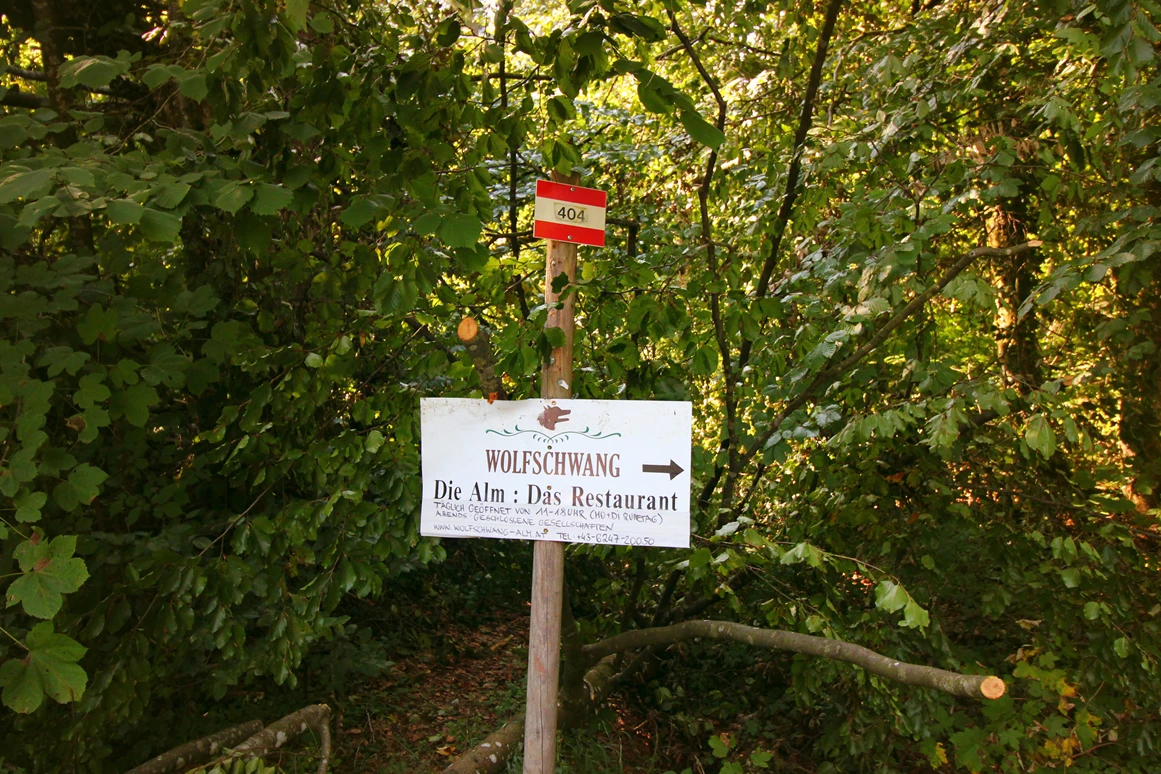 Ausflugsziel: Wegweiser hinein in die Forststraße, direkt beim Parkplatz - Wanderung zur Wolfschwangalm
