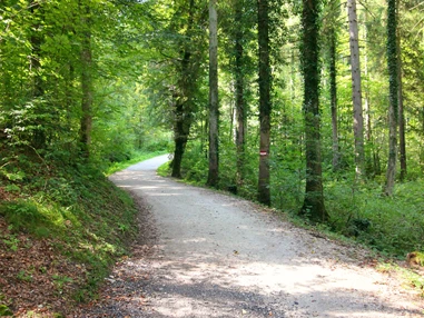 Ausflugsziel: Wanderung zur Wolfschwangalm