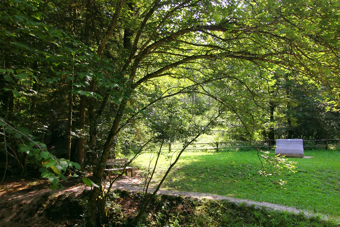 Ausflugsziel: Wanderung zur Wolfschwangalm