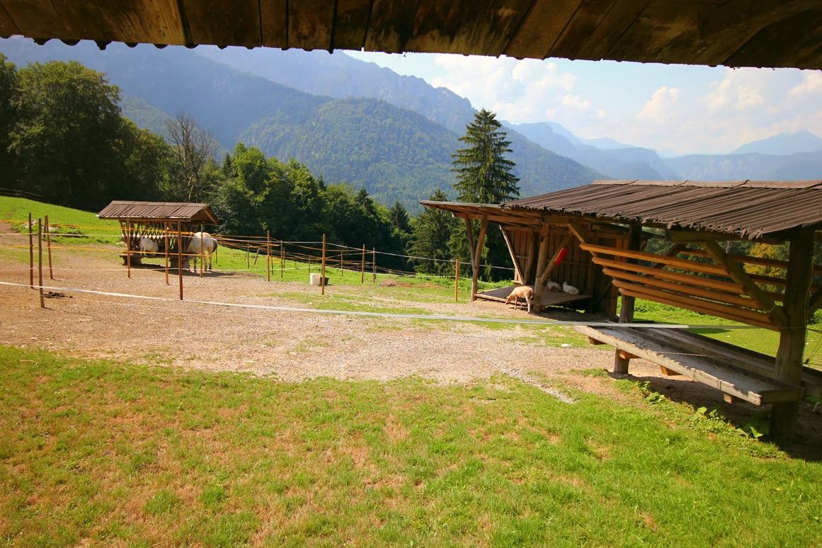 Ausflugsziel: Wanderung zur Wolfschwangalm