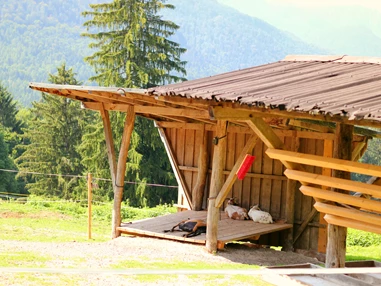 Ausflugsziel: Wanderung zur Wolfschwangalm