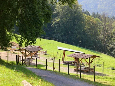Ausflugsziel: Wanderung zur Wolfschwangalm