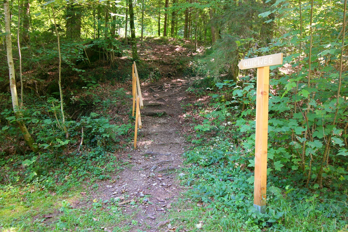 Ausflugsziel: Entlang des Weges weisen Wegweisen auf Quizstationen hin - Wanderung zur Wolfschwangalm
