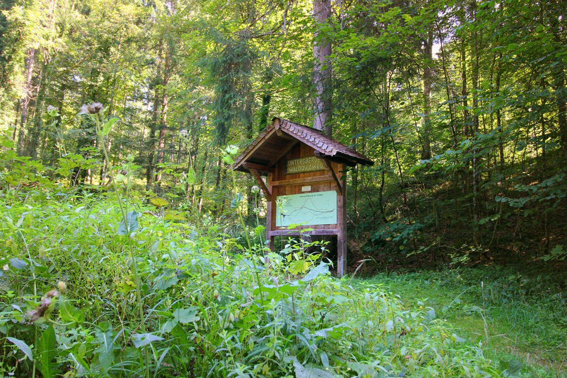 Ausflugsziel: An mehreren Stellen findet man Quiz-Tafeln des Untersberg Waldquizweg - Wanderung zur Wolfschwangalm