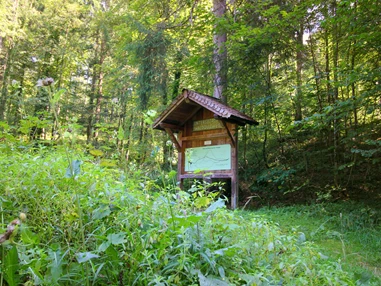 Ausflugsziel: An mehreren Stellen findet man Quiz-Tafeln des Untersberg Waldquizweg - Wanderung zur Wolfschwangalm