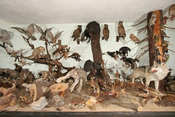 Ausflugsziel: Wald- und Tiermuseum mit Uhrenmuseum