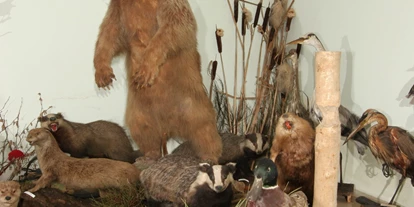 Ausflug mit Kindern - Altenthann - Wald- und Tiermuseum mit Uhrenmuseum