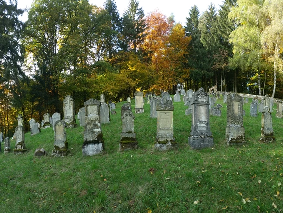 Ausflugsziel: Synagoge und Jüdisches Museum
