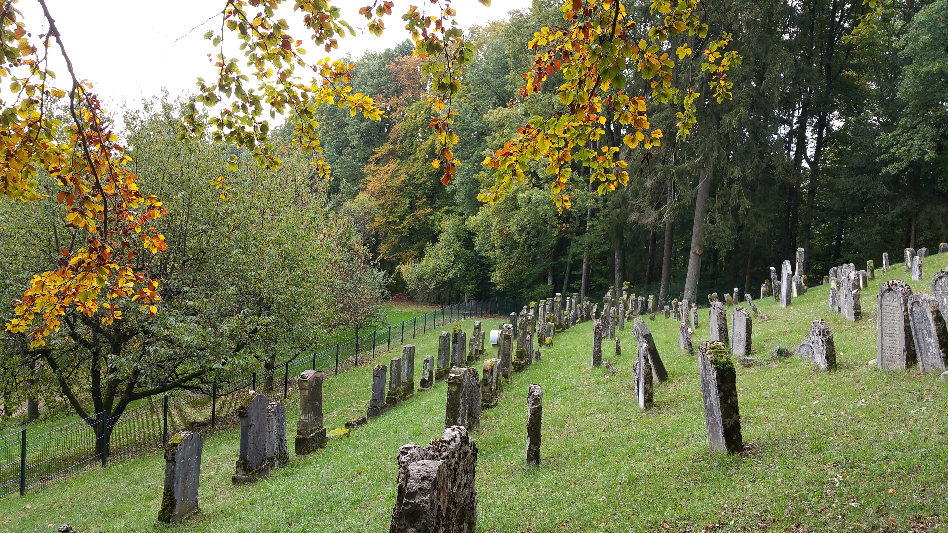 Ausflugsziel: Synagoge und Jüdisches Museum