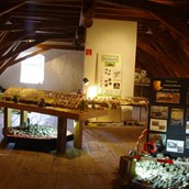 Ausflugsziel - Steinzeit zum Anfassen - Heimatmuseum des Marktes Maßbach