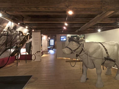 Ausflugsziel: Ausstellung Mensch und Nutztier  - Deutsches Hirtenmuseum Hersbruck