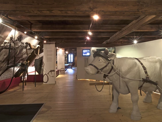 Ausflugsziel: Ausstellung Mensch und Nutztier  - Deutsches Hirtenmuseum Hersbruck