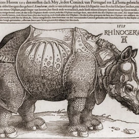 Ausflugsziel: Albrecht Dürer Gesellschaft e.V. Kunstverein Nürnberg