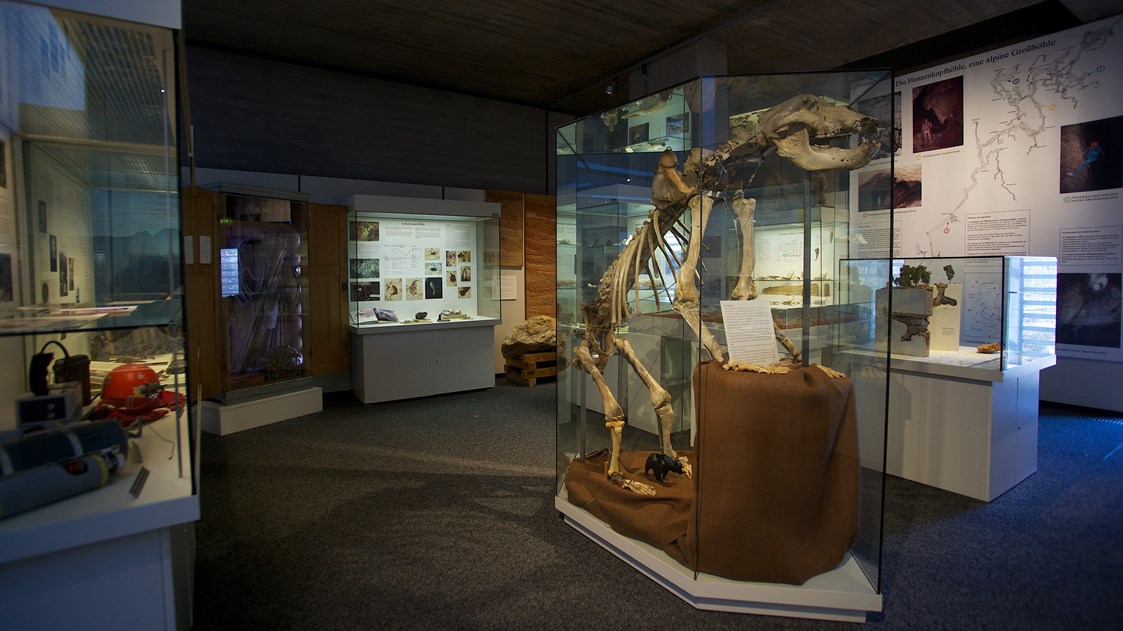 Ausflugsziel: Naturhistorisches Museum