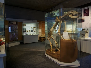 Ausflugsziel: Naturhistorisches Museum