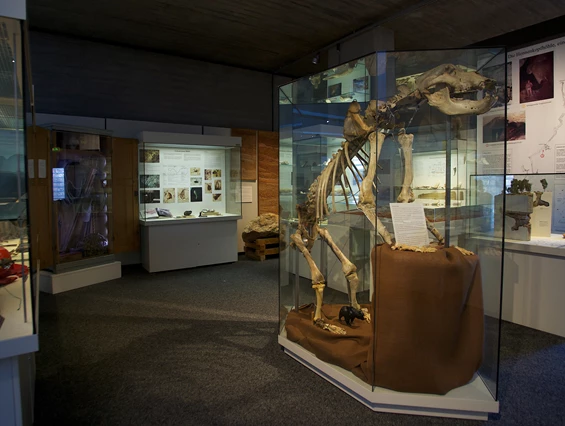 Ausflugsziel: Naturhistorisches Museum