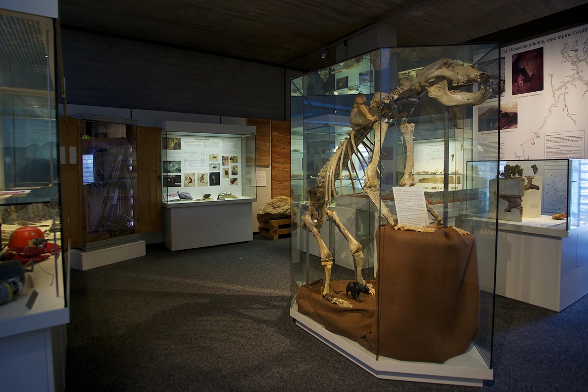 Ausflugsziel: Naturhistorisches Museum