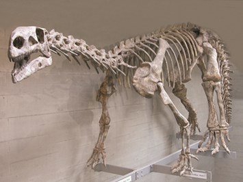 Naturhistorisches Museum Highlights beim Ausflugsziel Dinosaurier