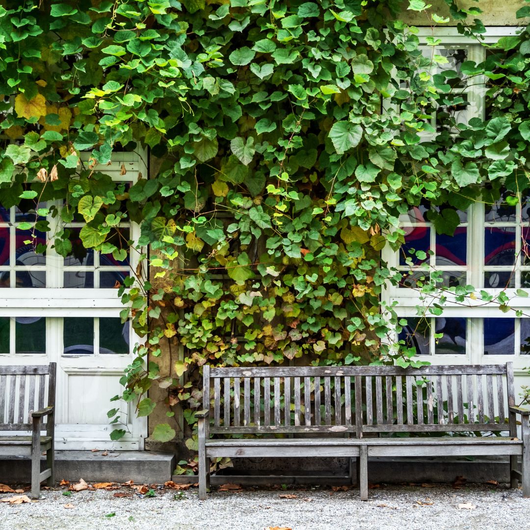 Ausflug mit Kindern - Oberbayern - Residenz München – Schatzkammer