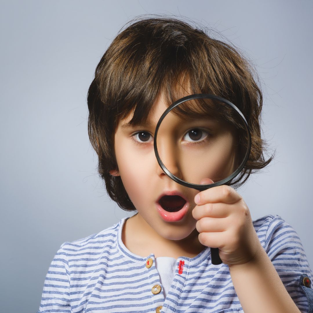 Ausflugsziel: Naturerlebnis Bruckmühl: Tier- und Naturkundemuseum Bruckmühl und Salus-Auwaldbiotop