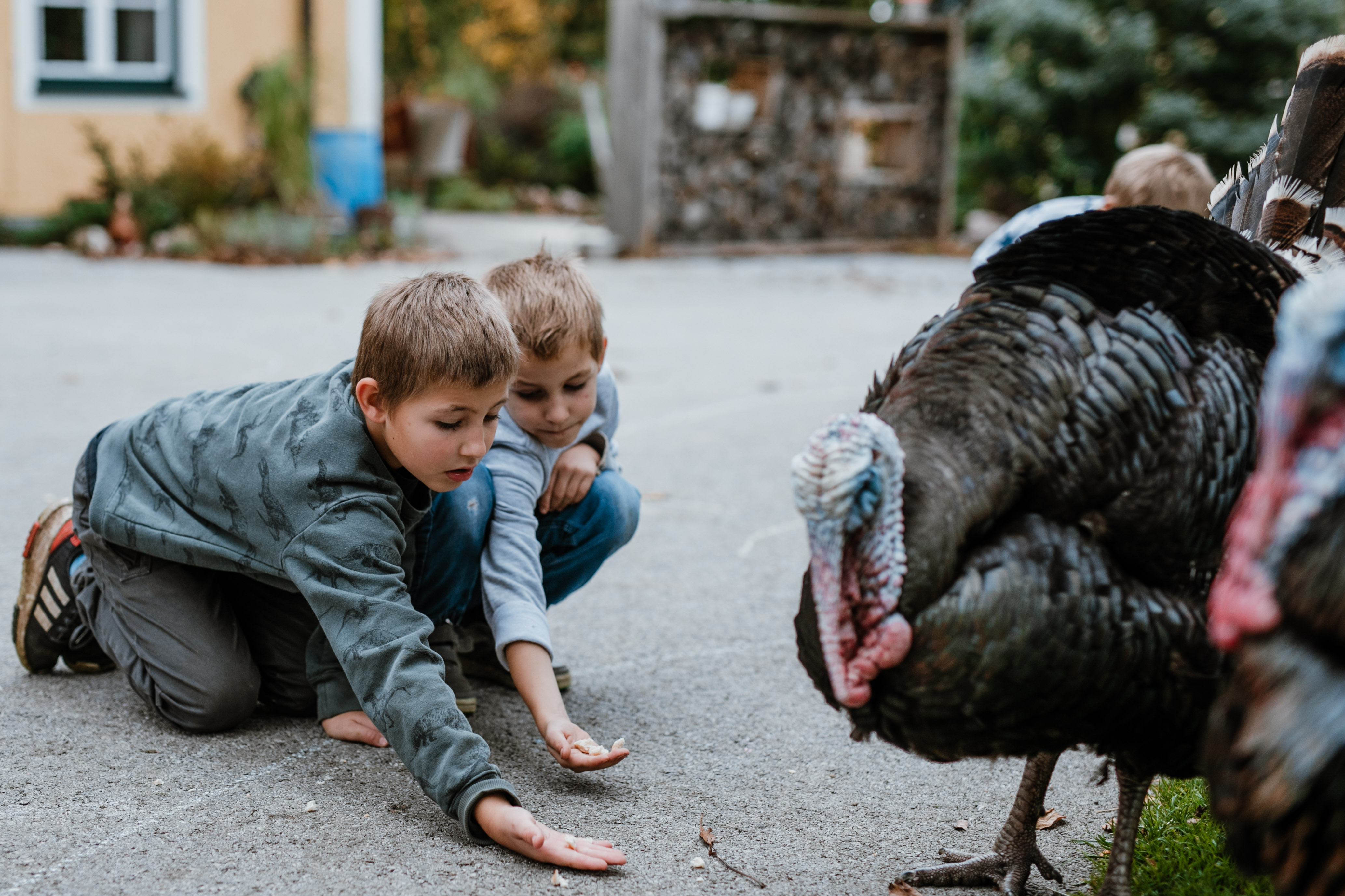 Ausflugsziel: Herbstspaß am Erlebnisbauernhof Grödig
