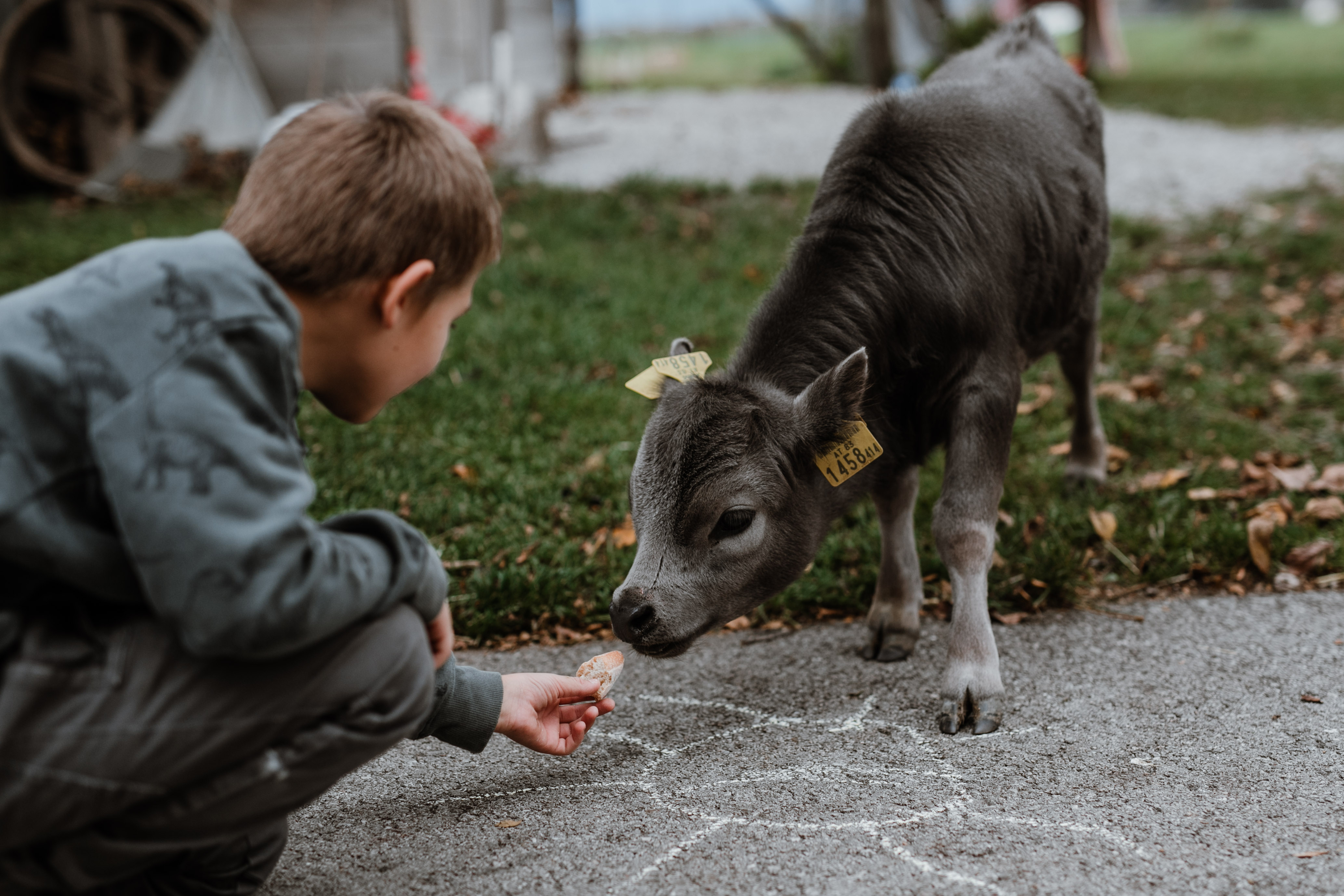 Ausflugsziel: Herbstspaß am Erlebnisbauernhof Grödig