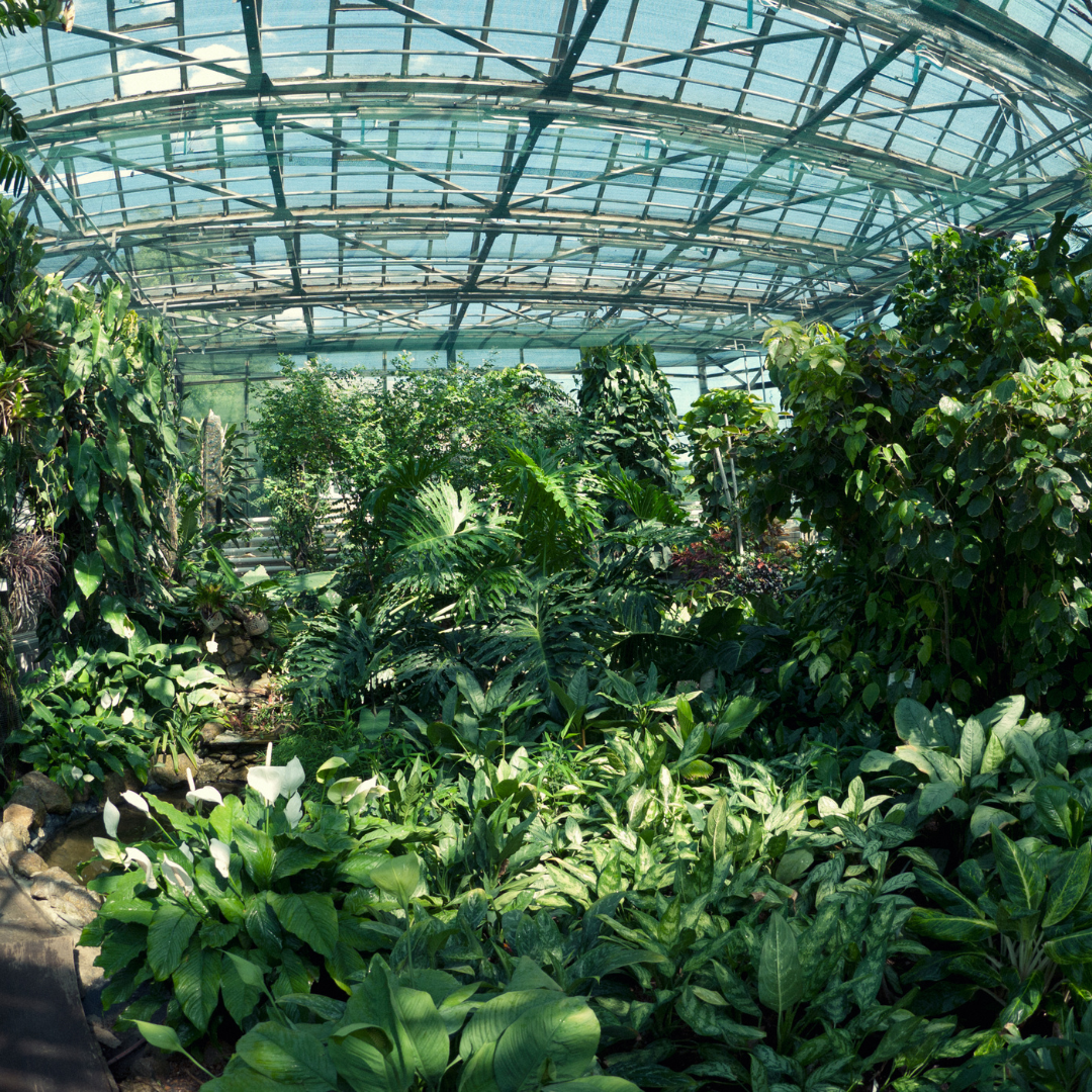 Botanischer Garten der Universitt Erlangen-Nrnberg | Ausflugsziel-Tipp in  Erlangen, Bayern