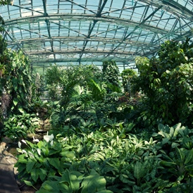 Ausflugsziel: Botanischer Garten der Universität Erlangen-Nürnberg