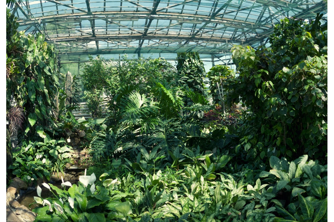 Ausflugsziel: Botanischer Garten der Universität Erlangen-Nürnberg