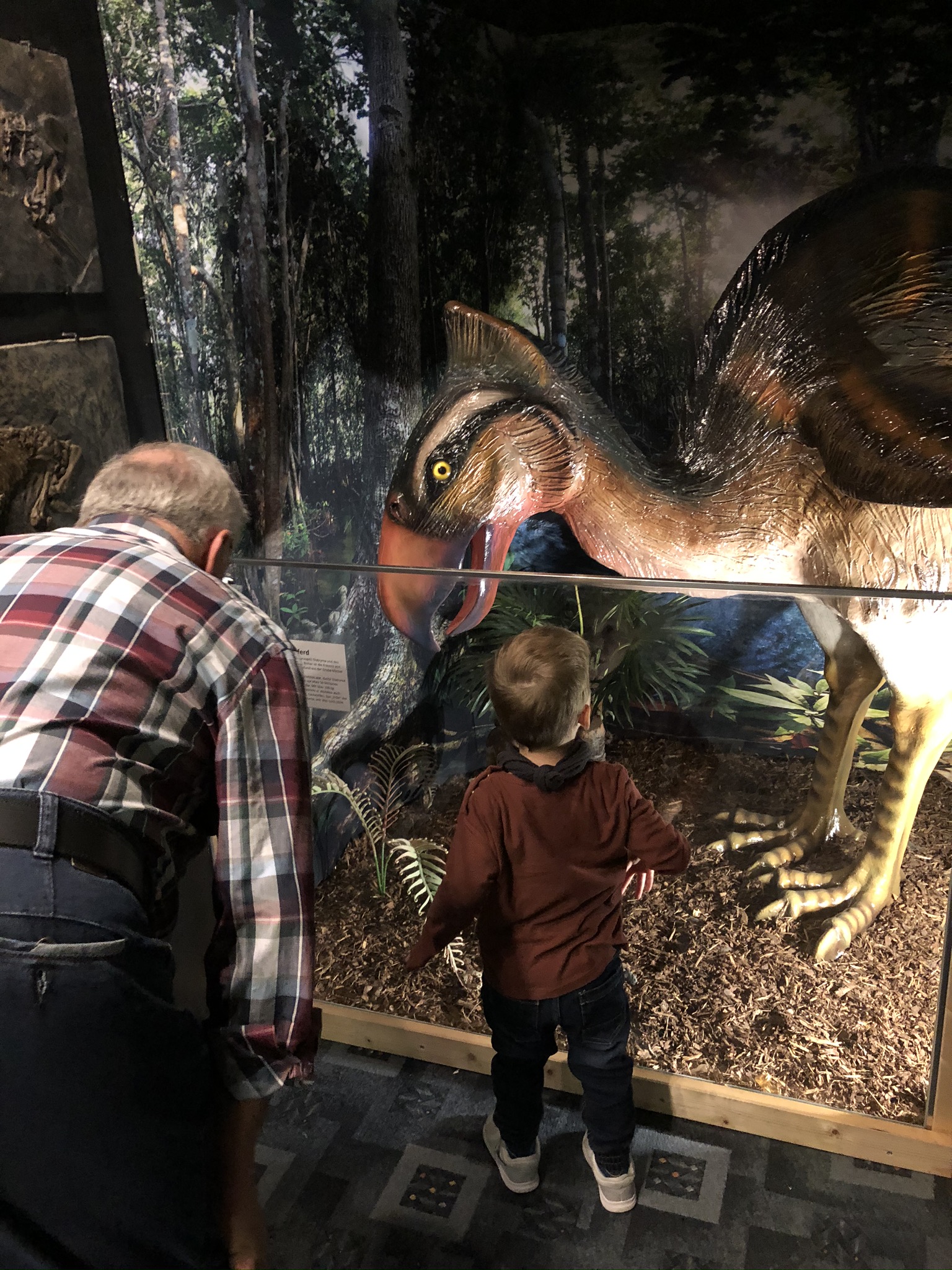 Voyage avec des enfants - Essenbach - Urzeitmuseum Taufkirchen - Innenaufnahme, Urzeitlicher Laufvogel - Urzeitmuseum – Sammlung Kapustin