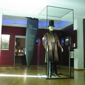 Ausflugsziel: Kaspar Hauser Ausstellung im Markgrafenmuseum - Markgrafenmuseum