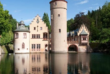 Ausflugsziel: Symbolbild für Ausflugsziel Schloss Mespelbrunn (Bayern). - Schloss Mespelbrunn