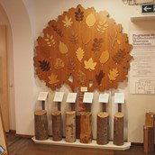 Ausflugsziel - Holztechnisches Museum