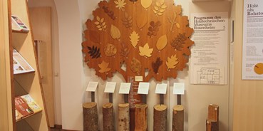 Ausflug mit Kindern - Themenschwerpunkt: Entdecken - Bernau am Chiemsee - Holztechnisches Museum