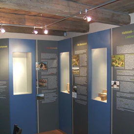 Ausflugsziel: Museum für Archäologie und Gemeindegeschichte Gutenstetten