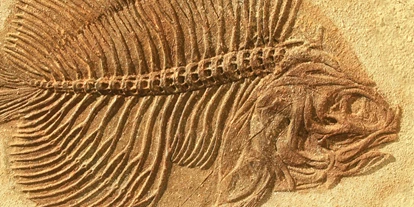 Reis met kinderen - Eichenau - Archäologisches Museum