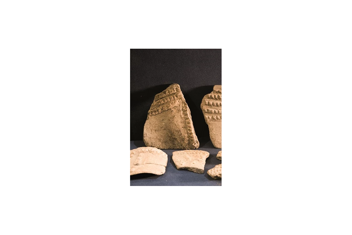 Ausflugsziel: Archäologische Sammlung im Cordonhaus