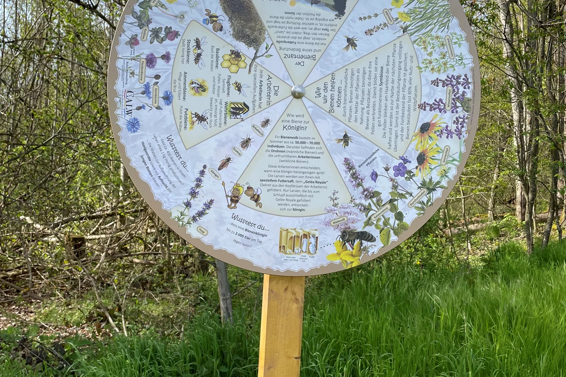 Ausflugsziel: Bienenlehrpfad Hirsau