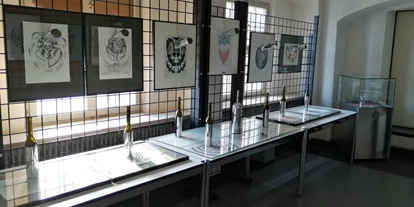 Trip with children - Westhausen (Ostalbkreis) - Museum 3. Dimension