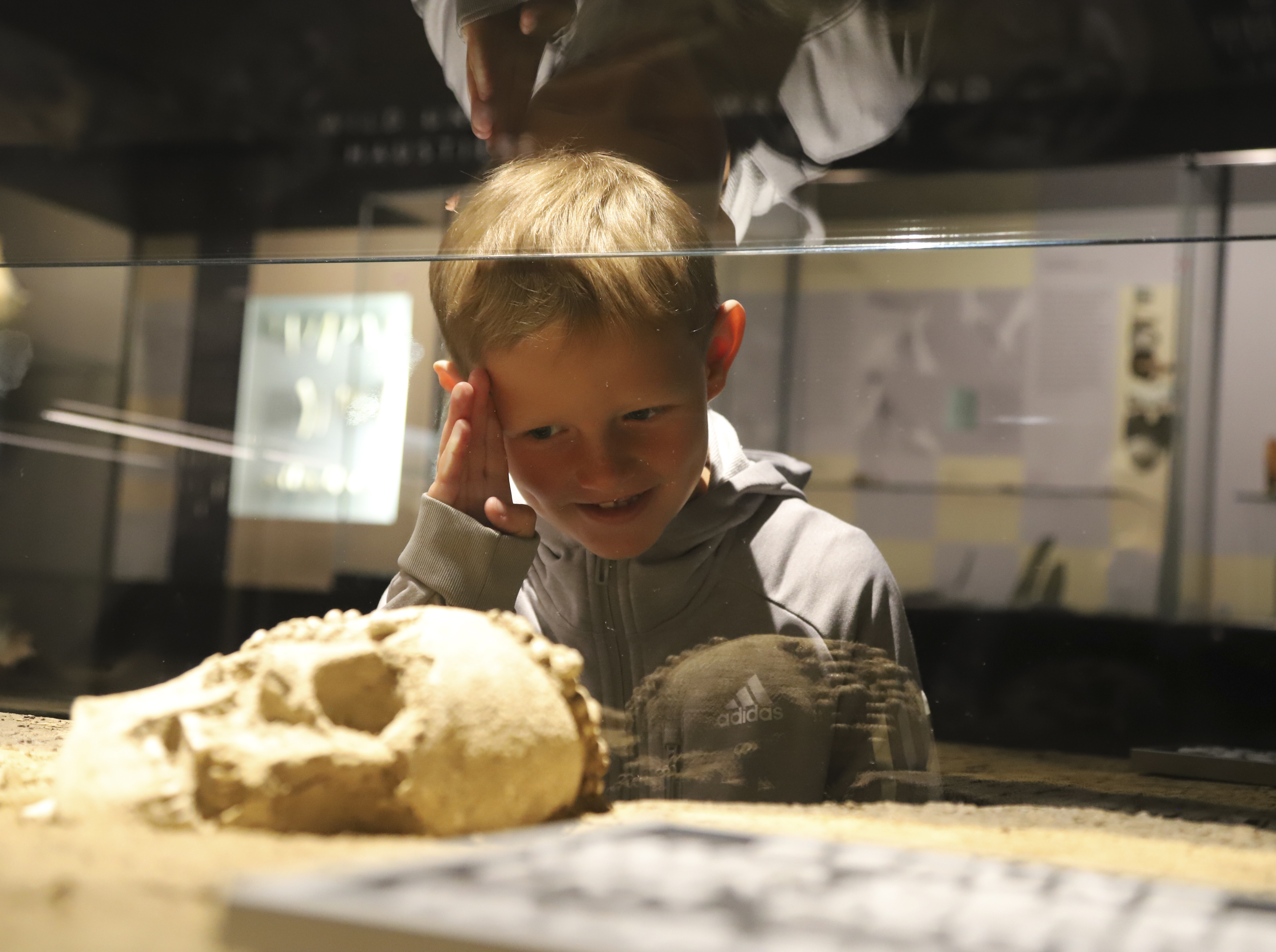 Ausflugsziel: Museum Quintana - Archäologie in Künzing