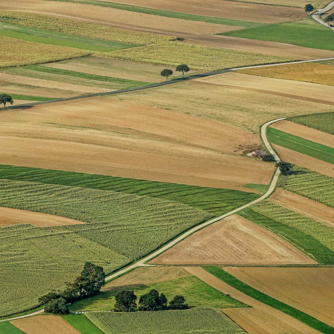 Viaggio con bambini - Ostbayern - Symbolbild für Ausflugsziel Niederbayerisches Landwirtschaftsmuseum (Bayern). - Niederbayerisches Landwirtschaftsmuseum