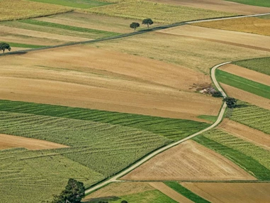 Ausflugsziel: Symbolbild für Ausflugsziel Niederbayerisches Landwirtschaftsmuseum (Bayern). - Niederbayerisches Landwirtschaftsmuseum