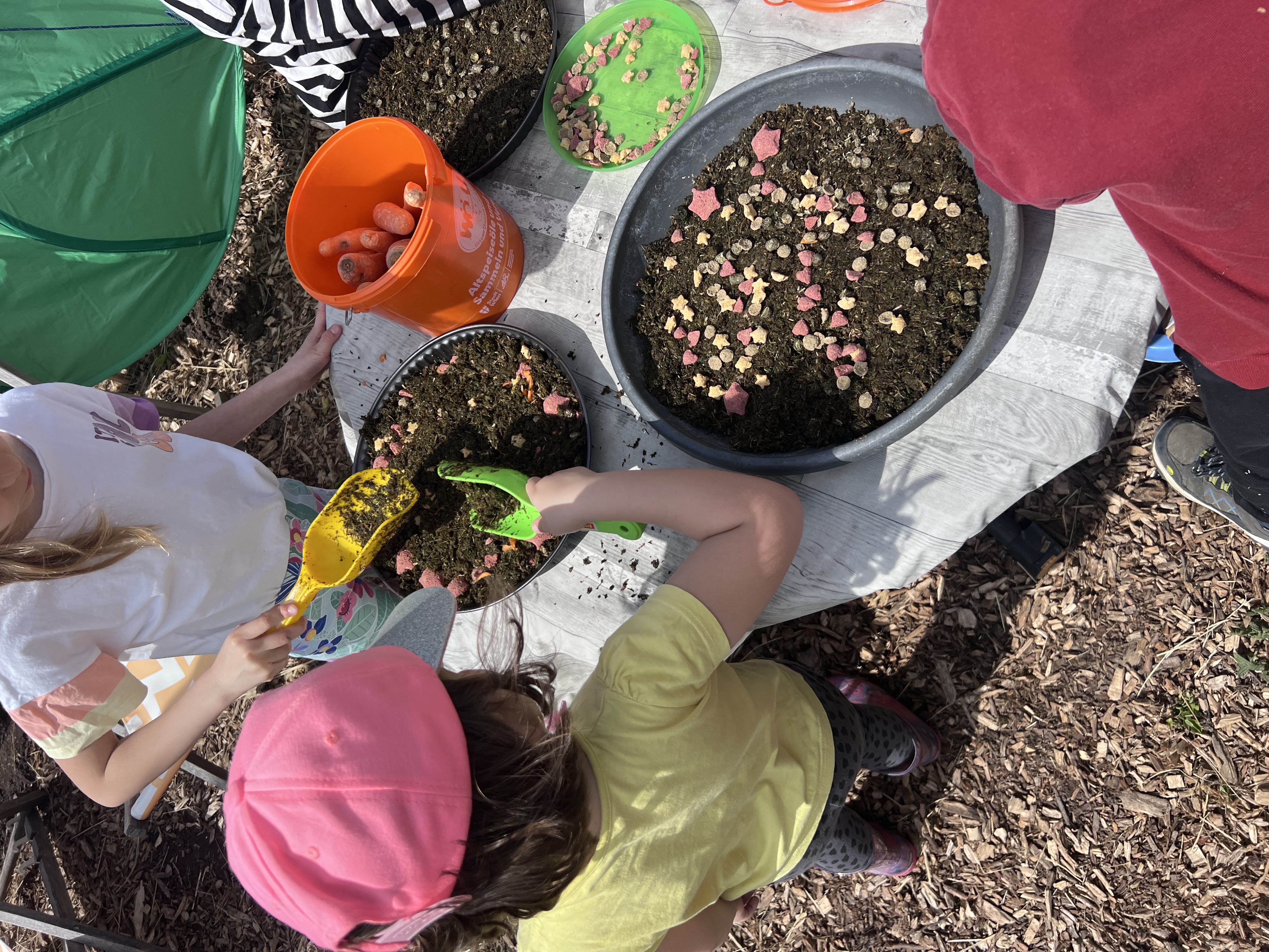 Viaggio con bambini - Riederberg - Exklusiver Besuch bei Pferd, Kaninchen und Huhn